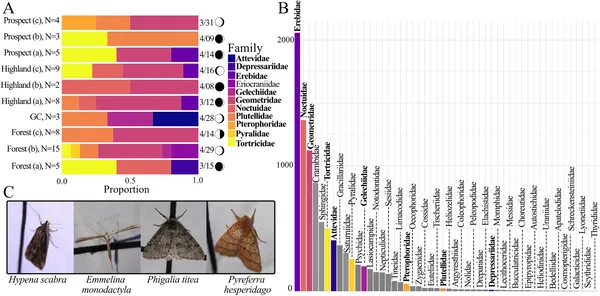 This figure shows moth family diversity from field sampling and iNaturalist data, including counts, survey dates, moon phases, and photos of moths.