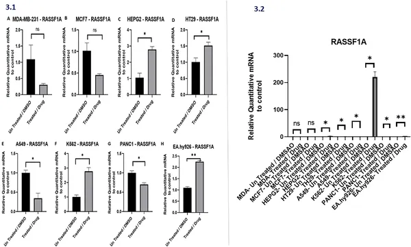 Drug treatments change RASSF1A gene activity in various cancer cell types compared to untreated cells, showing significant differences in some cases.