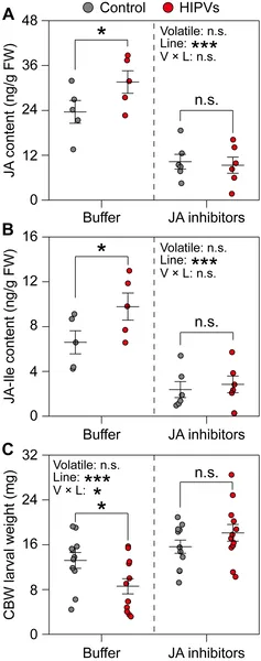 JA signaling helps plants resist pests by boosting defense chemicals and reducing caterpillar growth after exposure to infested plant scents.