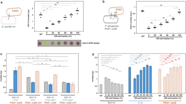 Bacterial mix ratios affect their ability to kill competitors and survive attacks, showing a balance between offense and defense.