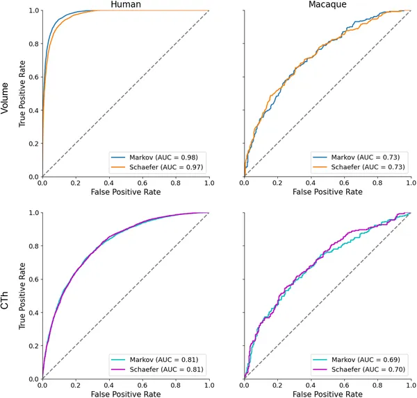 Graphs show how well models classify sex using brain MRI data in humans and primates, comparing tissue types and methods with accuracy scores.
