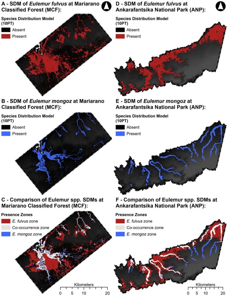 Maps show where two species live in two forests, highlighting areas unique to each and where they overlap, based on satellite and field data.