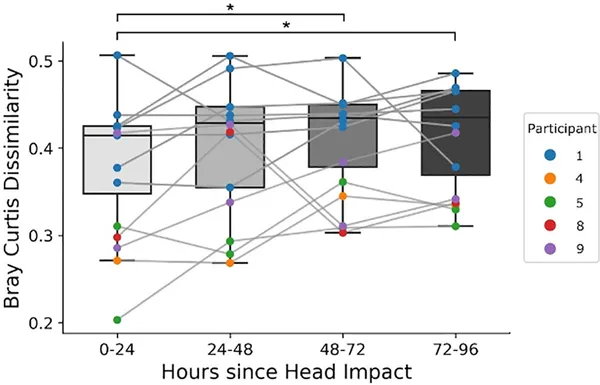 Gut bacteria differences increase significantly 2-4 days after a severe head impact compared to the day of injury.