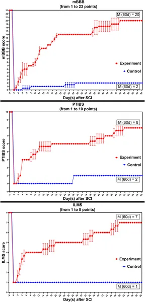 Neurological scores over 60 days show recovery progress in experimental and control groups using three different movement and sensory tests.