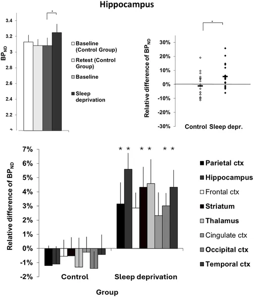 Synaptic density changes in the hippocampus show significant group differences, with error bars indicating variability across brain regions.