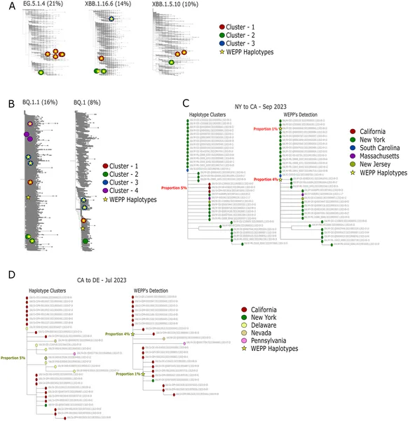 WEPP detects and visualizes virus haplotype clusters and their spread between states using its dashboard in different scenarios from 2023.