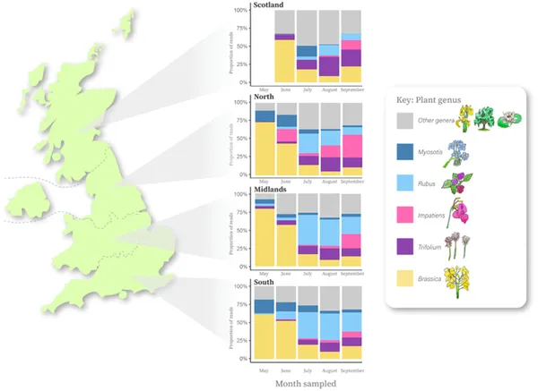Honey from four UK regions shows different plant DNA from five common plant types, revealing local floral sources.