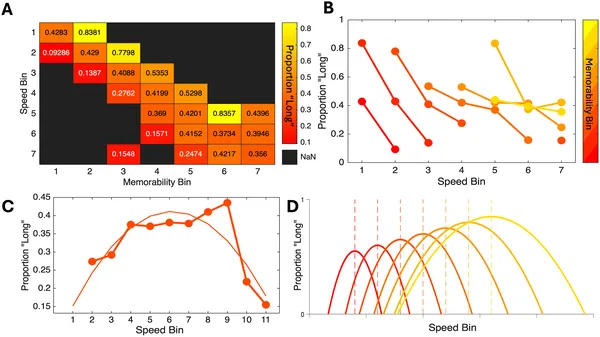 Faster speeds generally reduce 'long' responses, but higher memorability lessens this effect, showing a complex link between speed, memorability, and time perception.