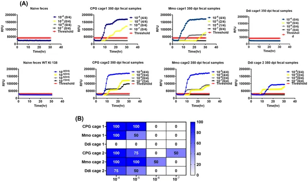 Graph shows how vaccination affects CWD prion activity in mouse feces over time, comparing vaccinated and control groups using sensitive tests.
