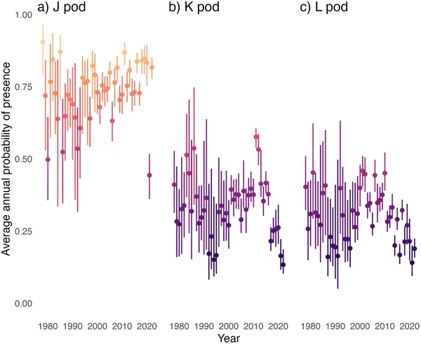 Average yearly chances of spotting J-, K-, and L-pod whales shown with color and error bars, based on their presence in the area.