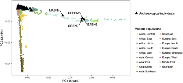 Sicilian ancient individuals mostly cluster together, but four align genetically with modern sub-Saharan African populations.