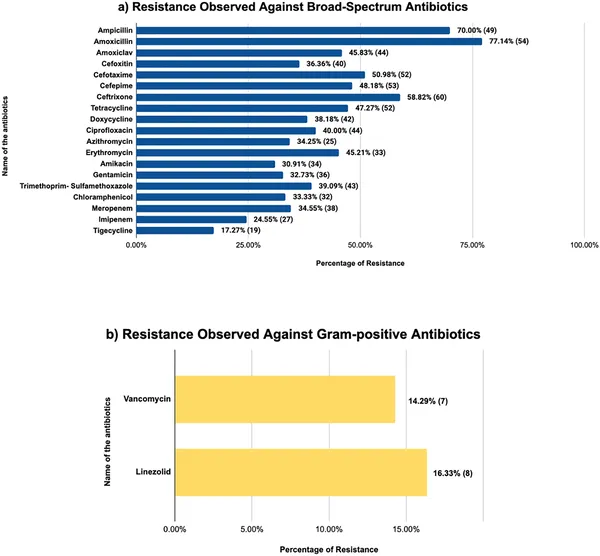 Bar charts show antibiotic resistance percentages in bacteria, excluding natural resistance, for broad spectrum (110 samples) and Gram-positive (31 samples).