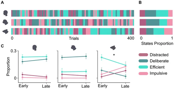 Humans, monkeys, and mice show similar attention patterns, but mice spend less time deliberate and more time efficient during tasks.