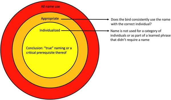 How parrots use names correctly and personally, based on reports from their owners.