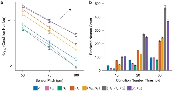 Analysis shows how well different sensor setups can distinguish signals from groups of brain cells based on electrical and magnetic data.