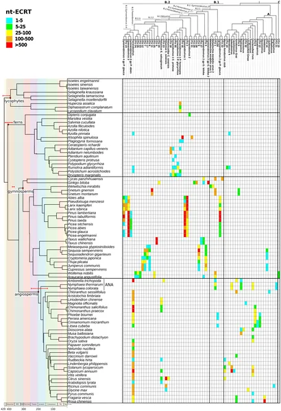 Heatmap shows how viral DNA elements vary across different plant species over time, grouped by plant family and virus type.