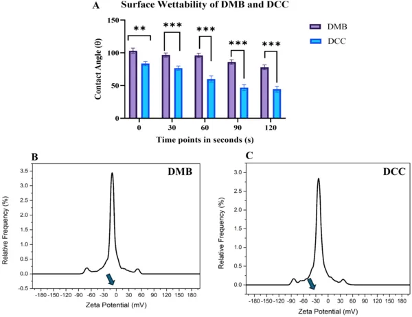 DCC bone grafts absorb water faster and have a stronger negative charge than DMB grafts, showing differences in surface properties.