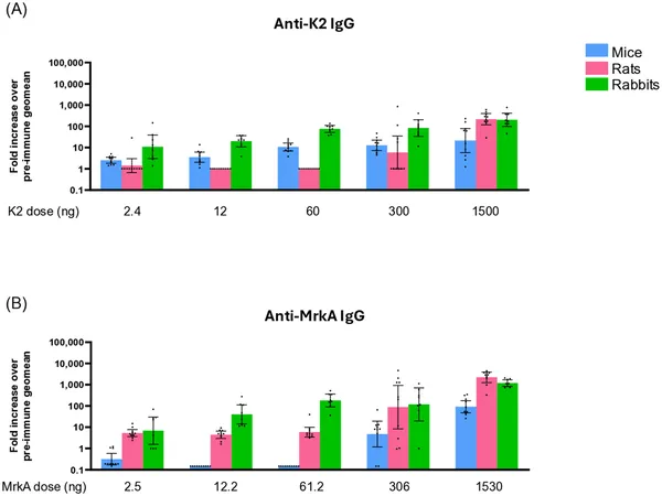 Immune responses to increasing doses of a vaccine tested in mice, rats, and rabbits show rising antibody levels against K2 and MrkA proteins.