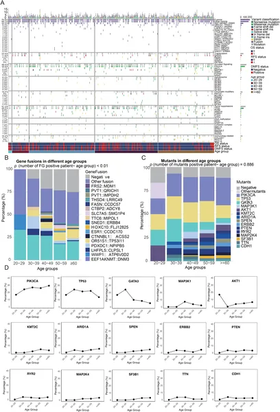 This figure shows how certain gene changes in breast cancer vary with age, while overall mutation levels stay steady across age groups.