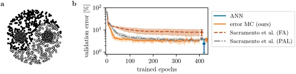 Error neuron microcircuits learn to classify complex Yin-Yang patterns, outperforming similar models and matching standard neural networks.