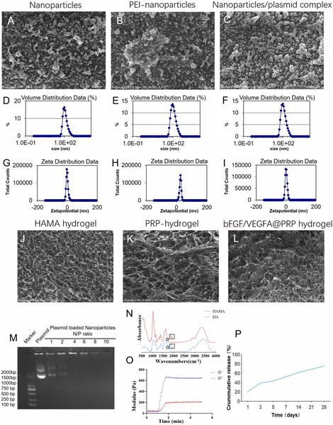 Images and measurements show sizes, charges, and structures of nanoparticles, hydrogels, and their complexes, plus DNA release and chemical features.
