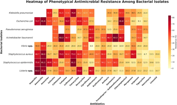 Heatmap showing how bacteria resist different antibiotics, with blank spots where tests weren't done or not needed.