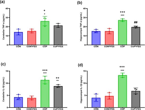 Levels of inflammation markers TNF and IL-1β were measured in brain regions, showing significant differences between treatment groups.