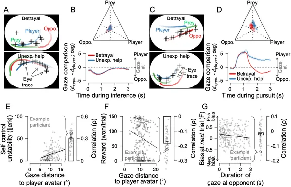 Eye-tracking shows people focus more on opponents during key moments, affecting their movement and rewards in the game.
