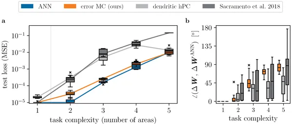 Our error neuron microcircuit learns complex tasks as well as standard AI models, even as the network size grows.
