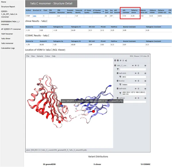 Interactive 3D models show genetic variant impacts with color codes and stats to help understand their effects and reliability.