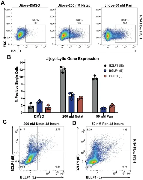 HDAC inhibitors partially activate EBV virus genes in cells, showing incomplete gene expression after 48 hours of treatment.