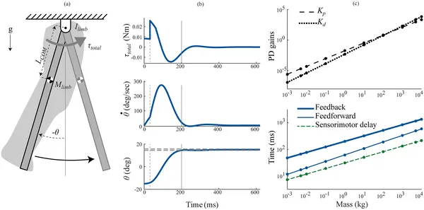 This figure shows how a model controls a limb swing after a trip, tracking torque, speed, and angle changes over time with different control methods.