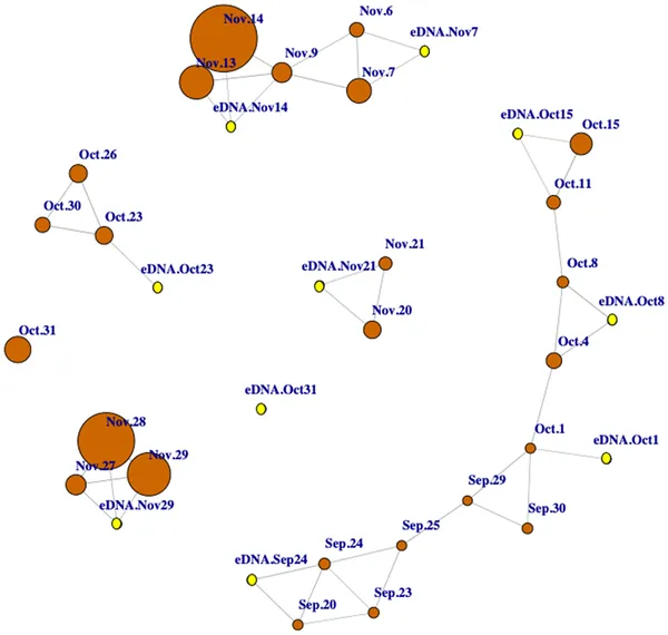 Network showing strong positive links between bird counts and DNA data during fall waterfowl migration dates.