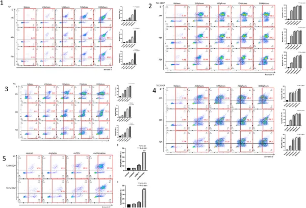 Cells treated with nsPEF showed increased apoptosis over time and pulse number, measured by flow cytometry in different bladder cancer cell types.