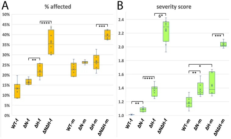 Removing both nhomie and homie genes causes more severe embryo defects than removing either alone, especially when eve gene function is reduced.