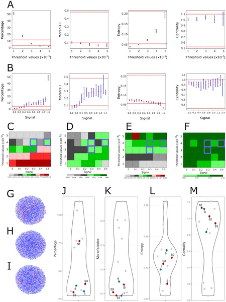 This figure shows how cell differentiation and signaling affect stem cell patterns using four key measures compared to real experimental data.
