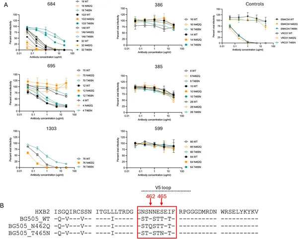 Graphs show how different antibodies reduce virus infectivity at varying concentrations against normal and mutated BG505 viruses.