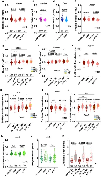 Cardiac Fit gene affects heart performance, size, and function in flies under normal and high-sugar/fat diets, with effects varying by cell type and age.
