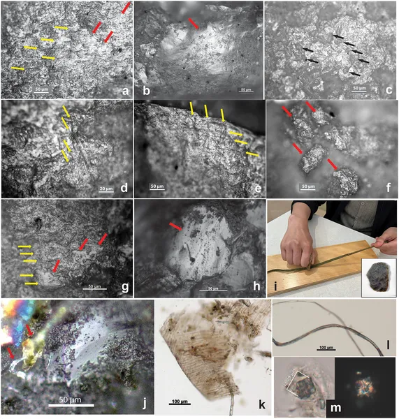 Images show wear and residue on ancient and experimental tools, revealing patterns from cutting and scraping plants like hemp and velvetleaf.