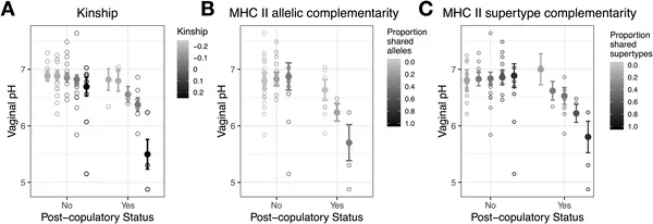 Vaginal pH after mating is lowest when females mate with genetically similar males, shown by model predictions and raw data.