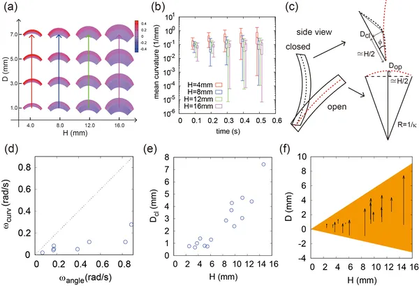 This figure shows how trap shape and curvature relate to speed, highlighting key measurements and their changes over time.
