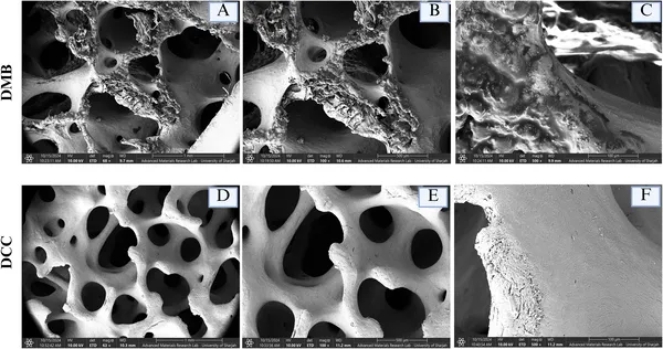 Microscope images show DMB has a rough, porous surface, while DCC has a smoother texture at different zoom levels.