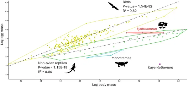 Graph showing egg size vs. body size in various animals, with colors representing different groups like Lystrosaurus, Kayentatherium, birds, and reptiles.