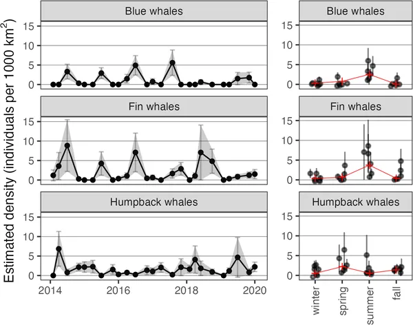 Estimated number of baleen whales per 1000 km² shown over years and seasons, with seasonal averages highlighted in red.